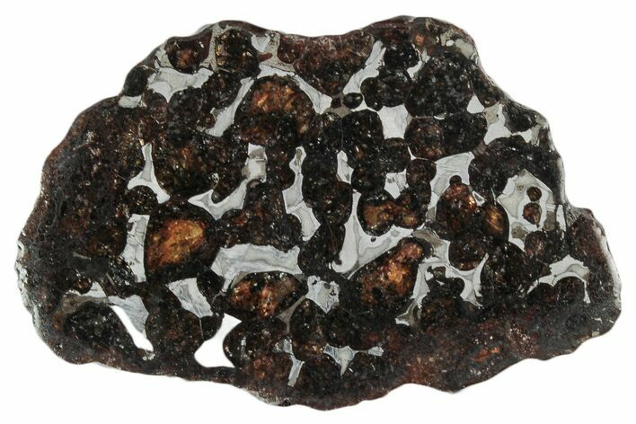 Sericho Pallasite Meteorite ( g) Slice - Kenya #346475